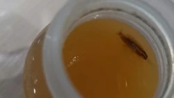 Сок с тараканом продали сахалинке в детском магазине. «Не зря вылила»