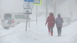 Метель на Сахалине и потепление на Курилах прогнозируют 6 февраля
