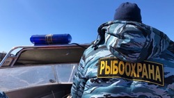 Рыбоохрана оштрафовала сахалинских браконьеров на 16 тысяч рублей за неделю
