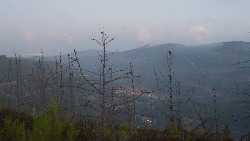 Циклон надвигается: с дождей и ветра начнется следующая рабочая неделя в Сахалинской области