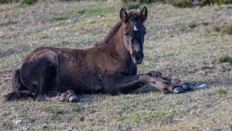 Церковный праздник 23 февраля 2025: что нельзя делать в этот день, приметы