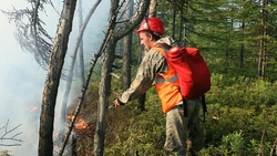 Синоптики: лесные пожары возможны в шести муниципалитетах Сахалина