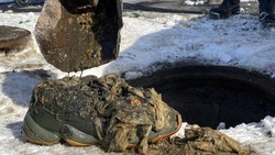 «Кроссовки Adidas и меховая шапка»: в «РВК-Сахалин» рассказали о необычных засорах