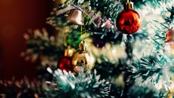 Россияне назвали елку и оливье главными составляющими Нового года