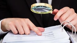 Сообщения о воняющей свалке куриц привели на птицефабрику проверку