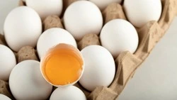 Жителям трех сел Южно-Сахалинска привезут яйца и птицу 13 марта