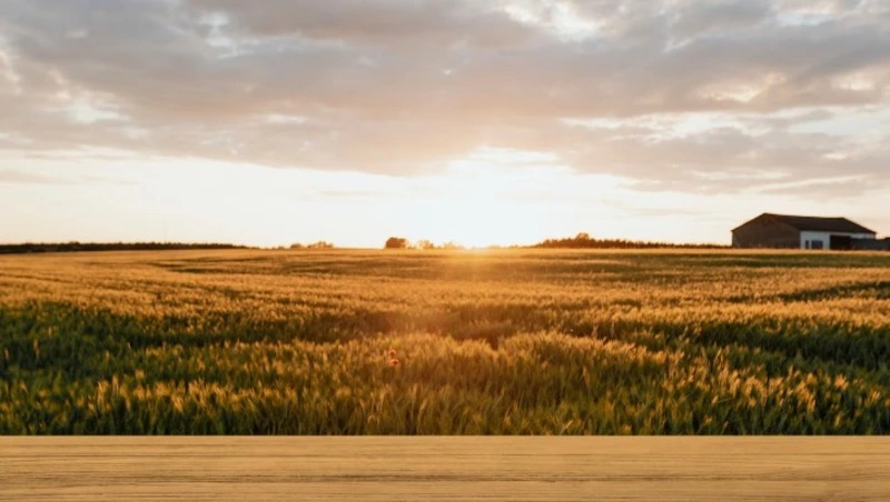 Кража запчастей с фермы закончилась судом для жителя Тымовского 