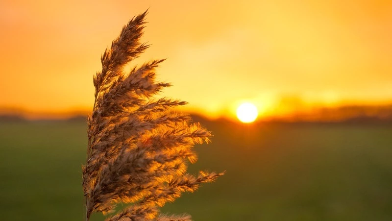 Тепло вернется в Сахалинскую область днем 14 октября