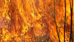 На крупный пожар у озера в Охинском районе отправили вертолет