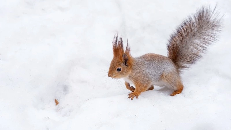 Церковный праздник 13 января 2025: что нельзя делать в этот день, приметы