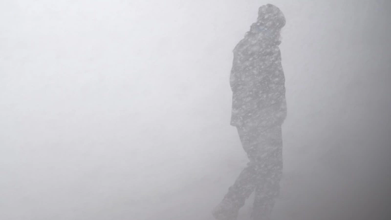 Школы в Северо-Курильске перевели в дистанционный режим из-за циклона 11 ноября