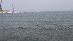 В Холмске выясняют обстоятельства гибели женщины в морском порту