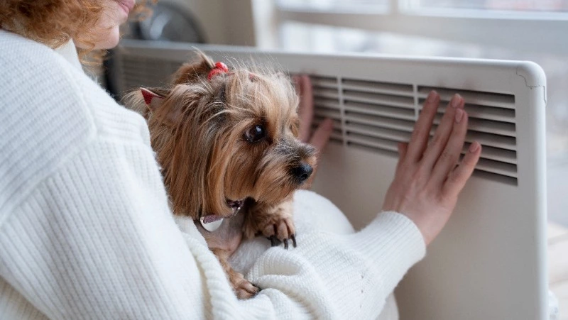 Отопление отключат на трех улицах Южно-Сахалинска 25 декабря