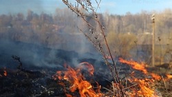 Трава загорелась на 2-м км автодороги Анива – Таранай 