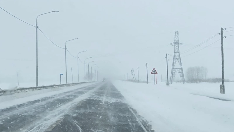 Тепло и сильный снег спрогнозировали синоптики в Южно-Сахалинске 6 февраля 
