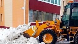 Сахалинцы заметили расхождения с реальностью на онлайн-карте расчистки дворов