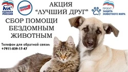 Холмское отделение «Единой России» объявило о старте благотворительной акции «Лучший друг»