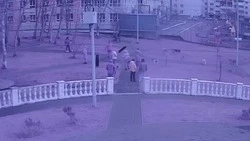 Собака повредила светильник в сквере Южно-Сахалинска