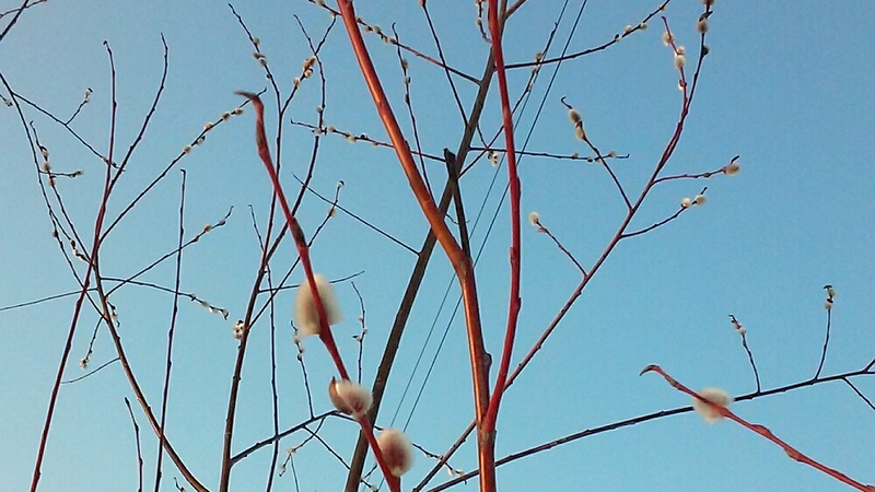 Фактор чуда