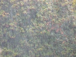 Мощный ливень прогнозируют в Южно-Сахалинске