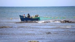 «Анадромная» комиссия на Сахалине определила квоты на лов аборигенам и любителям
