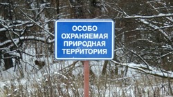 Посещение ООПТ ограничили из-за миграции и отела северного оленя на Сахалине