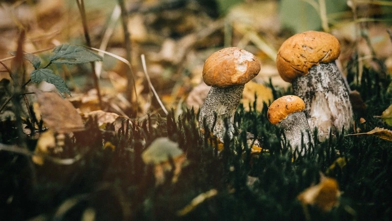 Церковный праздник 27 июля 2024: что нельзя делать в этот день, приметы