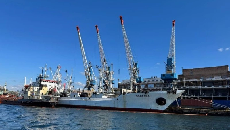 Порядка 17 тонн рыбы экспортировали с Сахалина и из Приморья за неделю