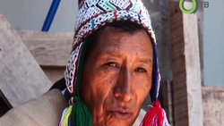 Культурное многообразие