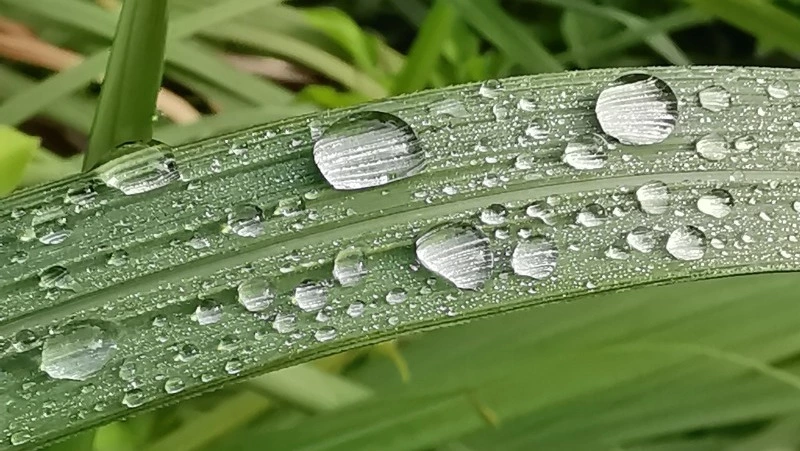 Церковный праздник 23 августа 2024: что нельзя делать в этот день, приметы