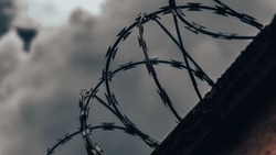 Засолка капусты довела до тюрьмы пьяного грабителя из Долинска
