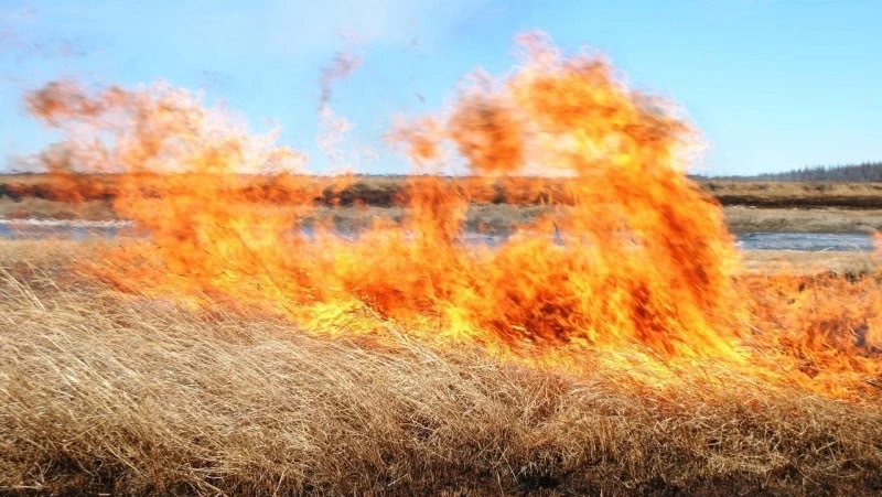 Пожарные потушили траву и мусор в Охе