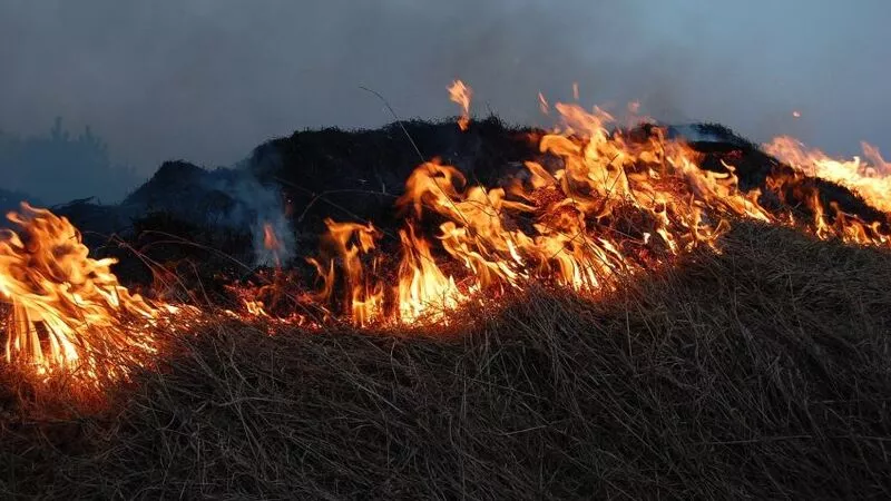 Пожарные потушили горящую траву в Южно-Сахалинске