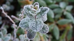 Новую порцию снега пообещали Сахалину — погода не порадует в выходные