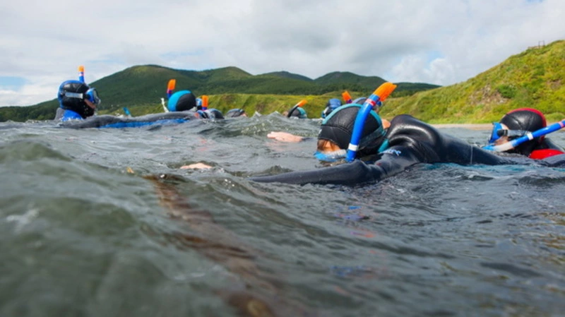 200 юных сахалинцев изучили морское дно в районе Пригородного