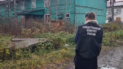 Следователи возбудили уголовное дело после нападения собак на девочку в Углегорске