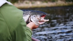 Лунный календарь рыболова на июль 2025: лучшие дни для клева