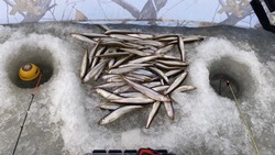 Рыбалка на Сахалине: малороточное эльдорадо и корюшка «как из пулемета»