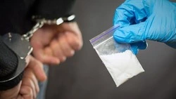 Пассажира иномарки задержали в Южно-Сахалинске из-за наркотиков в перчатке