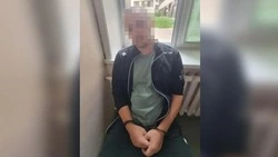 Серийный поджигатель уничтожил спецтехнику на 20 млн рублей на юге Сахалина