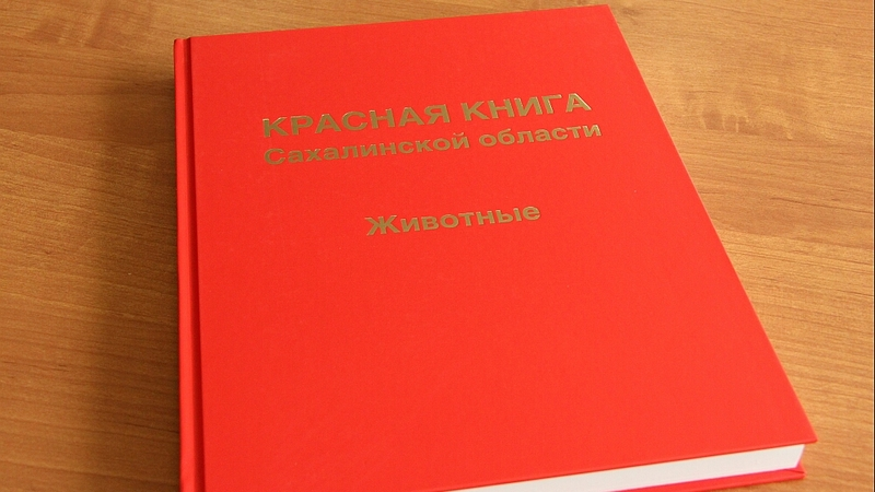 155 редких животных занесены в Красную книгу Сахалинской области