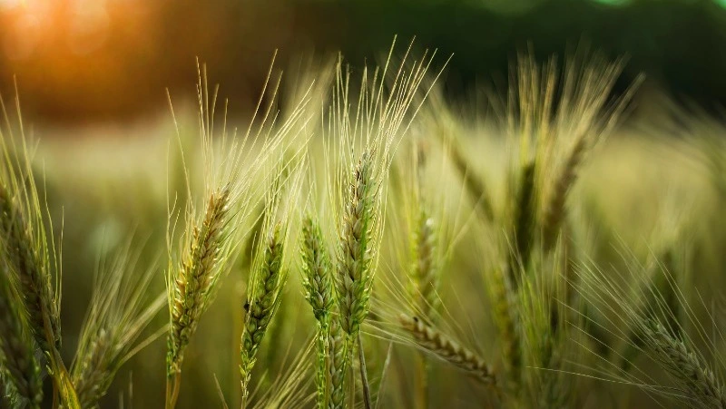 Приметы обо всем на 11 июня 2023 года: что можно и нельзя делать в этот день