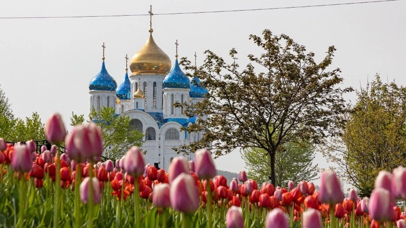 Правительство представит новую Стратегию развития ДФО к 15 июля