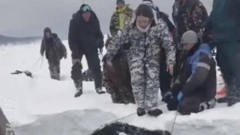 Сотрудники МЧС спасли 66 из 200 застрявших на льдине рыбаков на Сахалине
