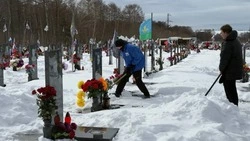 Активисты Молодой Гвардии Единой России очистили от снега Аллею памяти в Христофоровке