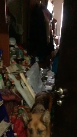 Пенсионерка превратила подъезд в Южно-Сахалинске в рассадник тараканов и опарышей