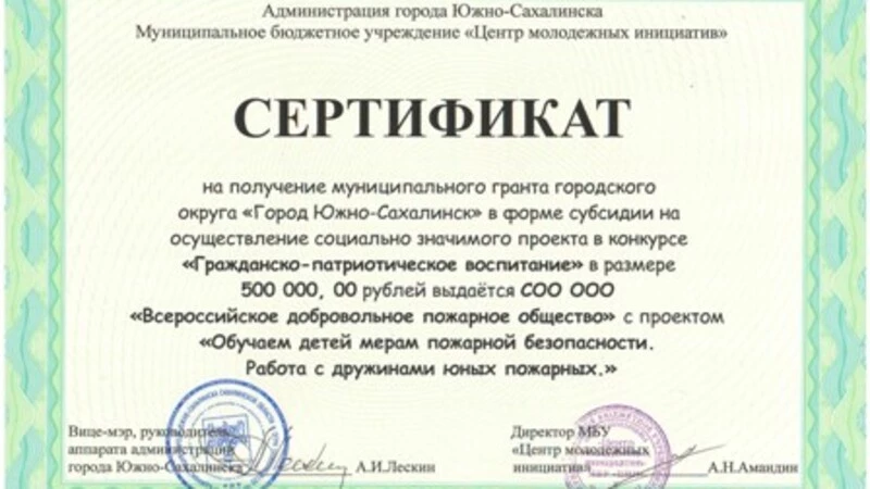 Муниципальный грант выиграло Сахалинское отделение ВДПО