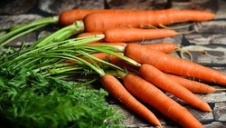 Диетолог рассказала, насколько может быть опасна простая морковь