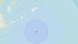 Землетрясение магнитудой 4,5 произошло у берегов Курил