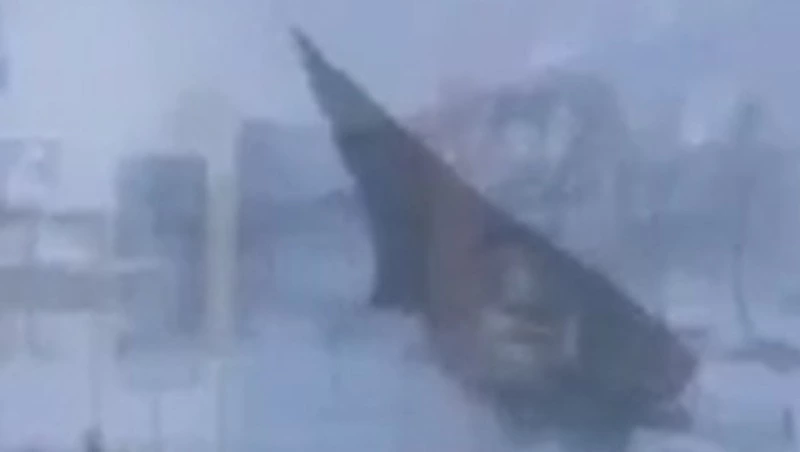 Новогодняя елка упала в метель на Сахалине